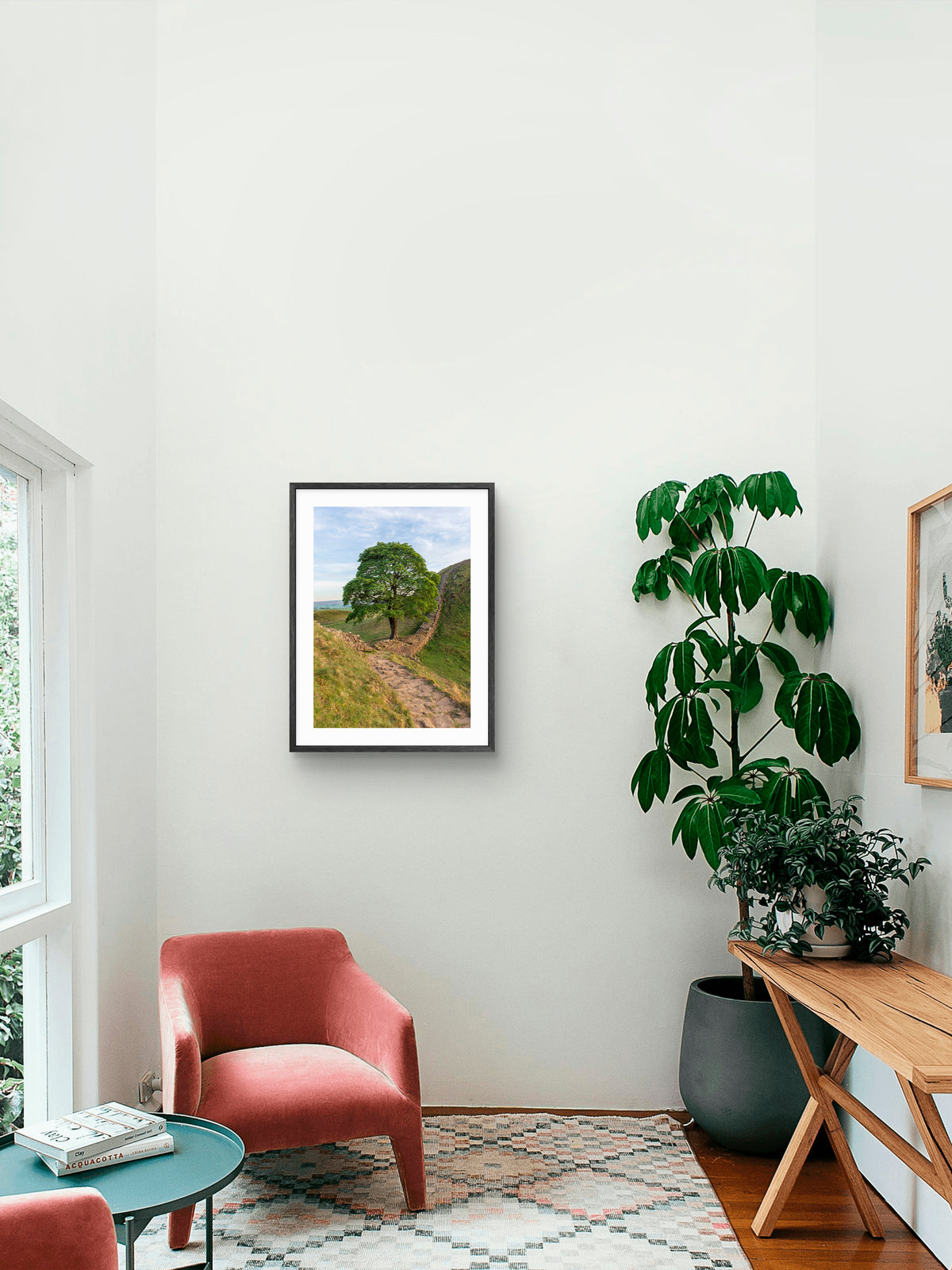 Sycamore Gap Tree - Hadrian's Wall - Stone Footpath - Northumberland wall art displayed in a styled room setting.