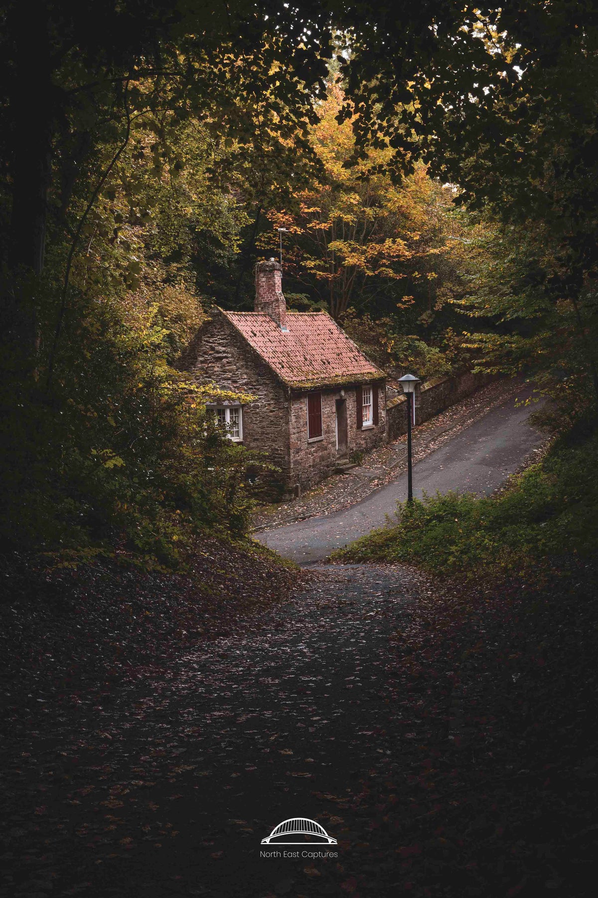 Stone cottage nestled in a forest with a path leading up to it