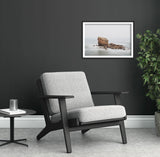 Charlie’s Garden in Seaton Sluice, North Tyneside surrounded by fog - North East Captures