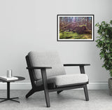 Moss Covered Stone Wall  - County Durham