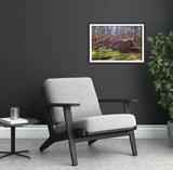 Moss Covered Stone Wall  - County Durham