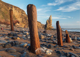 Chemical Beach - Wooden Groyne - Seaham - County Durham