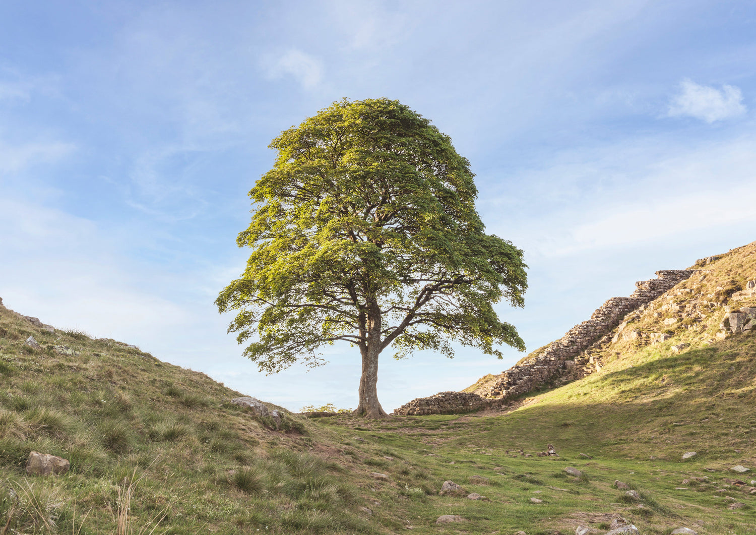 Northumberland Photography | North East Captures