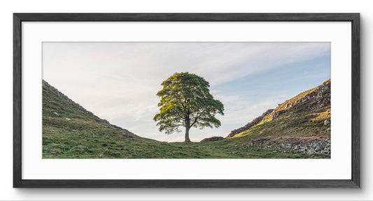 Sycamore Gap | Panoramic | Landscape Photography