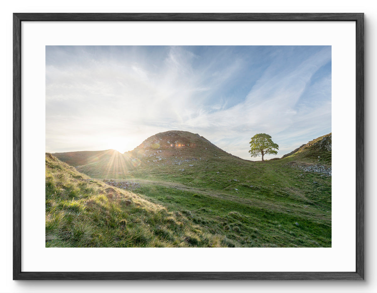Sycamore Gap Tree - Sycamore Gap Sunset - Northumberland shown as a framed photographic print.