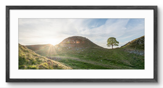 Sycamore Gap Tree Sunset | Panoramic | Landscape Photography