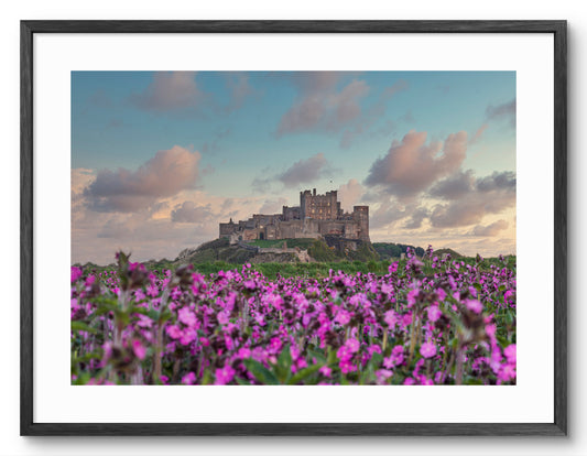 Bamburgh Castle beyond a field of flowers shown as a framed photographic print.