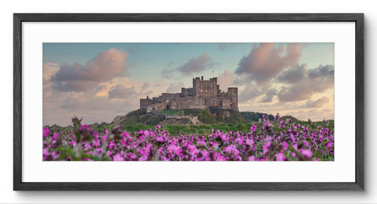 Bamburgh Castle & Purple Flowers panoramic print — black frame and white mount