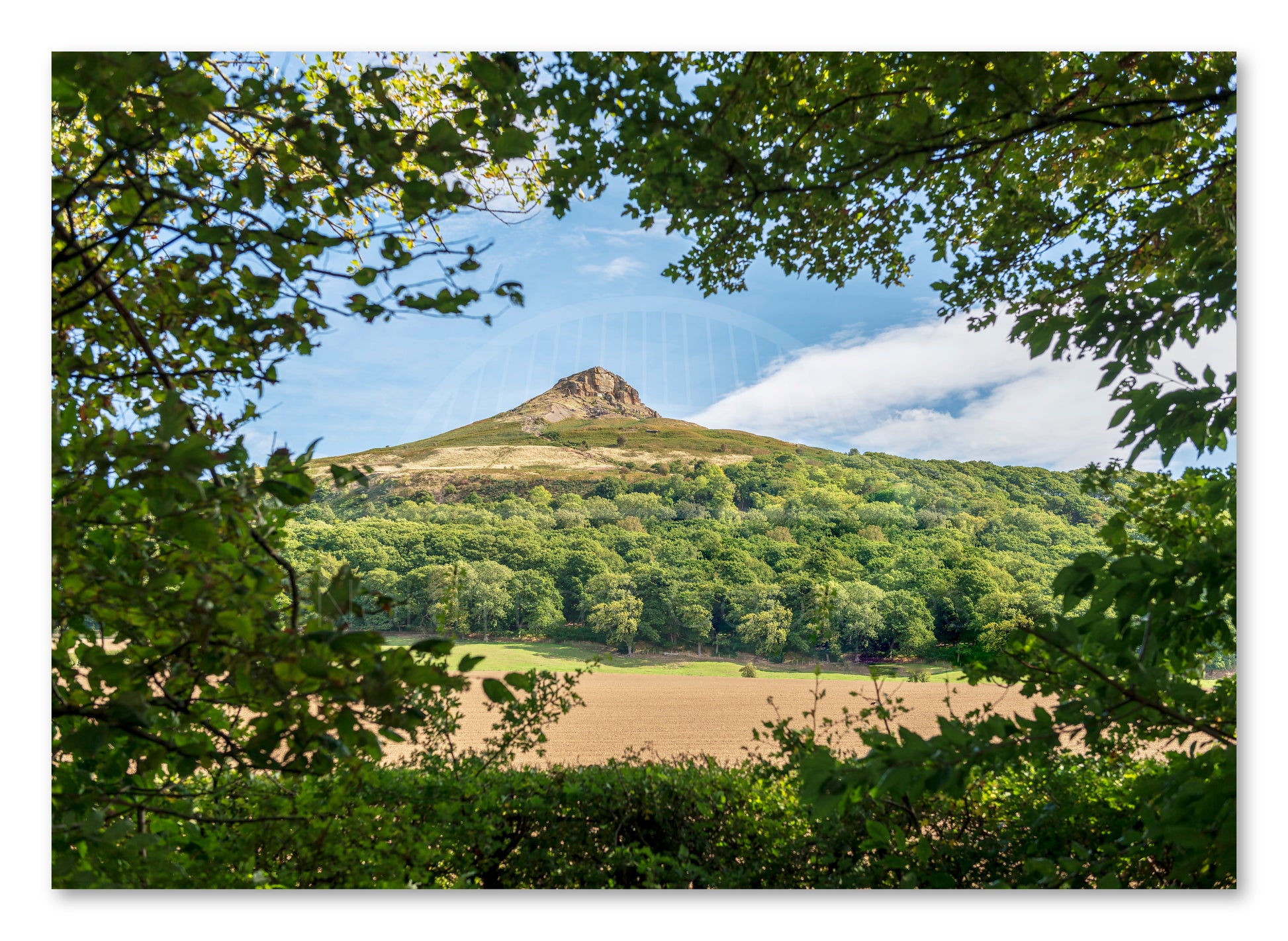 Roseberry Topping - Framed by Trees - North Yorkshire shown as a canvas print.
