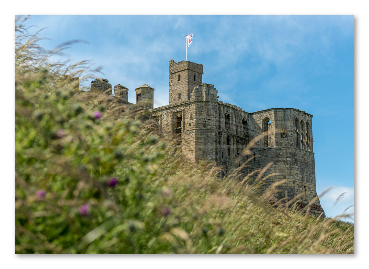 Warkworth Castle - Warkworth - Northumberland shown as a canvas print.