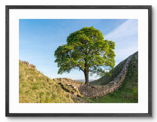 Sycamore Gap - Hadrian's Wall - Northumberland shown as a framed photographic print.