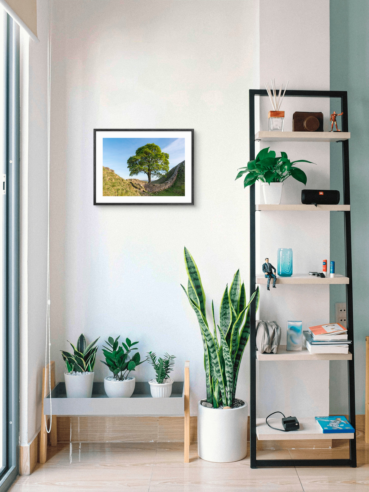 Sycamore Gap - Hadrian's Wall - Northumberland wall art displayed in a styled room setting.