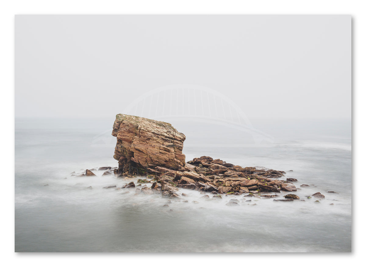 Charlie's Garden in fog at Seaton Sluice shown as a canvas print.