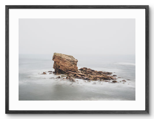 Charlie's Garden in fog at Seaton Sluice shown as a framed photographic print.
