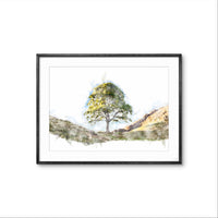 Sycamore Gap Digital Watercolour