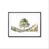 Sycamore Gap Digital Watercolour