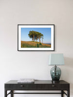 Framed artwork of trees in a field on a wall above a dark wooden console table with a lamp.