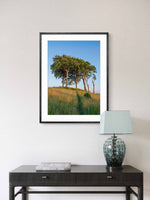 Framed artwork of trees in a field on a wall above a table with a lamp.