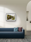 Modern living room with a blue sofa, decorative pillows, and a framed picture on the wall.