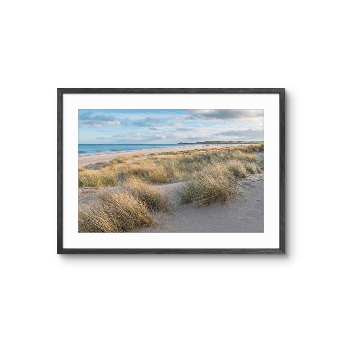 Ross Sands beach in Northumberland with rolling sand dunes and calm coastal shoreline Framed

