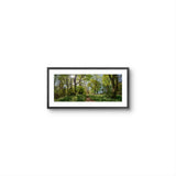 Framed artwork of a forest scene with green trees and a path on a white wall.