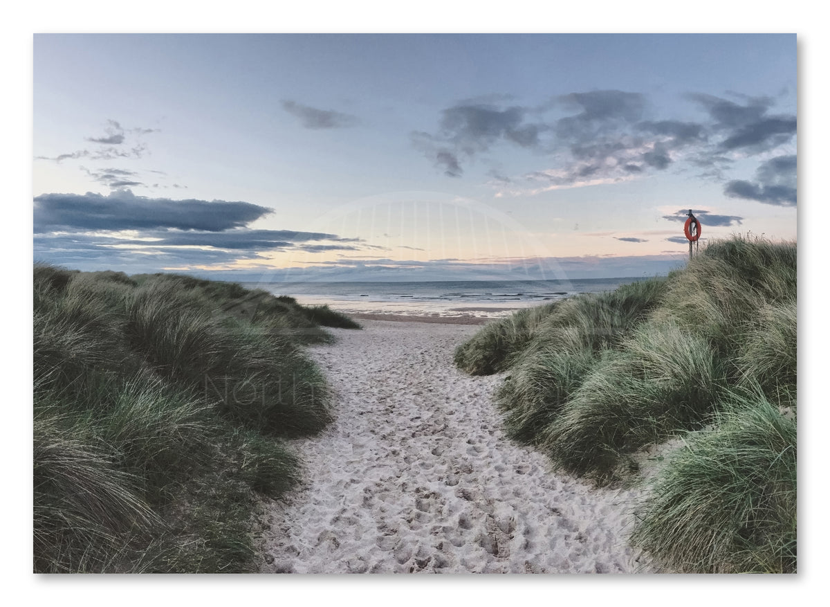 Northumberland Beach - Grass Covered Sand Dunes and Path - Northumberland shown as a canvas print.