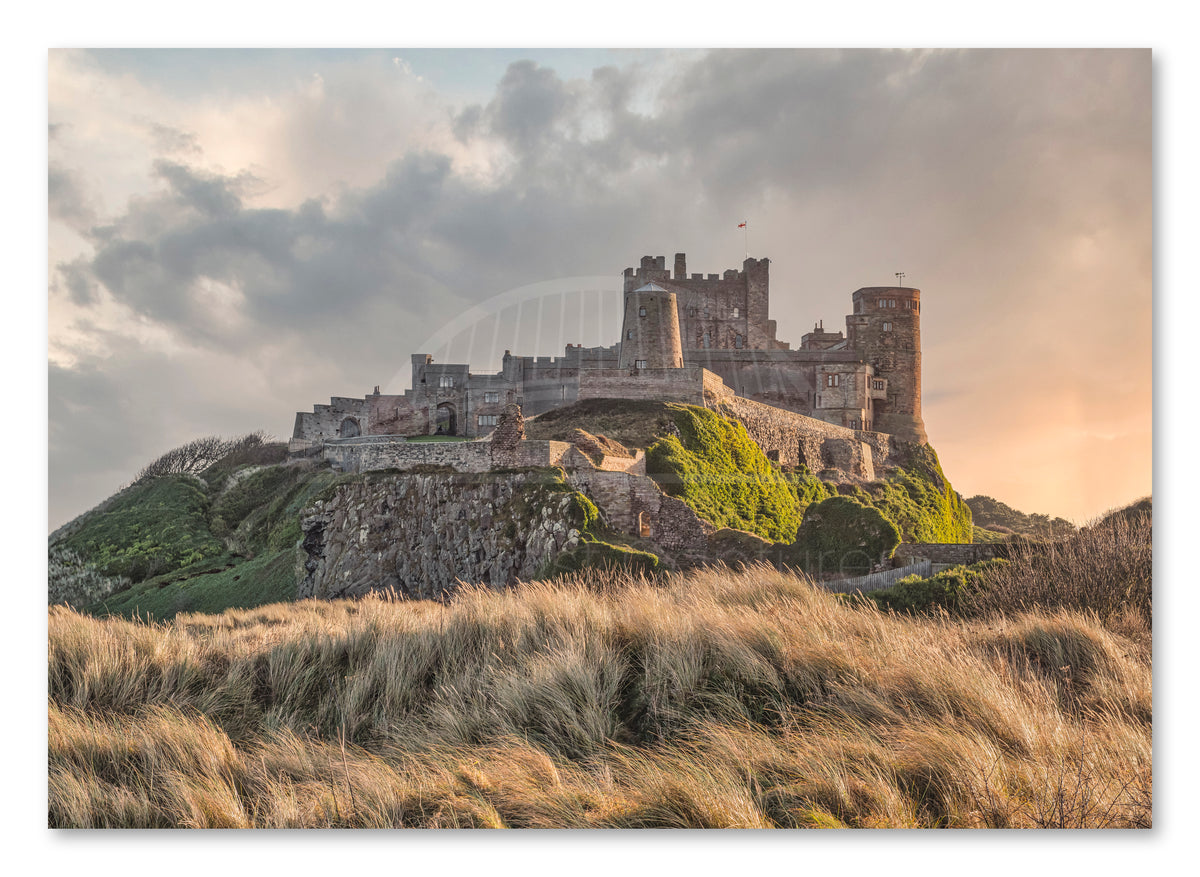 Bamburgh Castle beyond grass-covered dunes shown as a canvas print.
