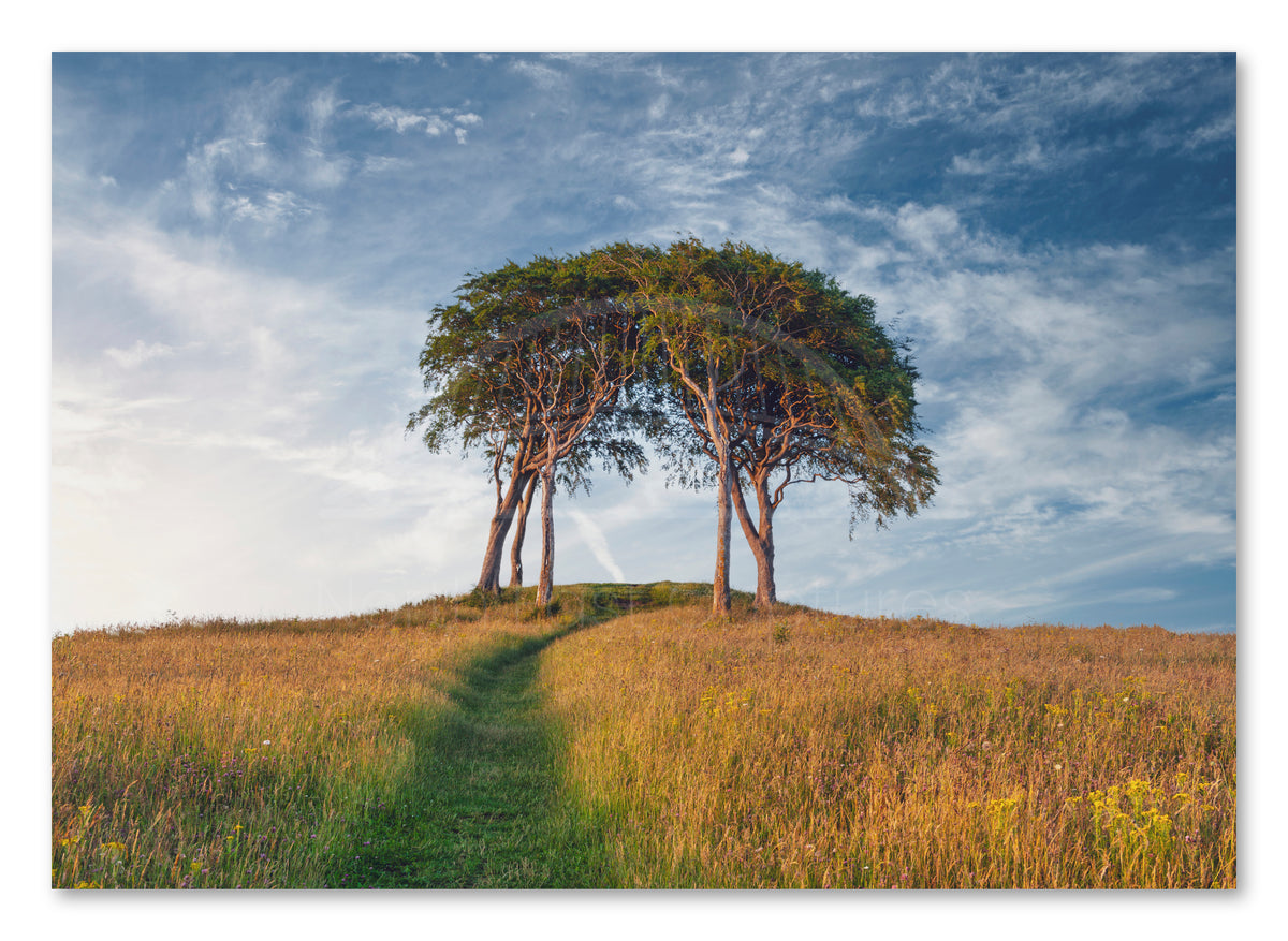 Seven Sisters - Copt Hill - Houghton-le-Spring - Sunderland shown as a canvas print.