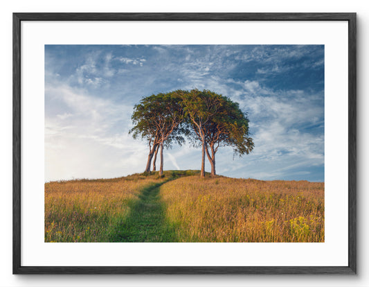 Seven Sisters - Copt Hill - Houghton-le-Spring - Sunderland shown as a framed photographic print.