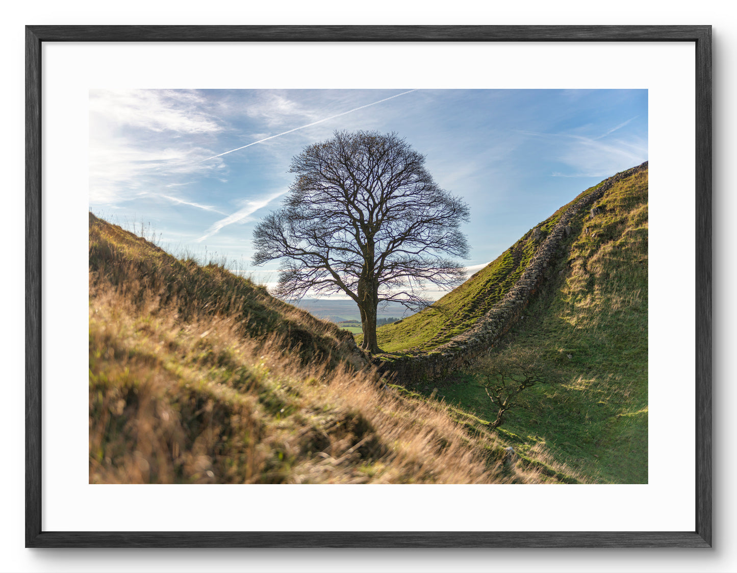 Sycamore Gap Tree - Autumn - Northumberland shown as a framed photographic print.