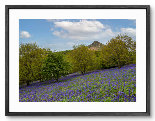 Roseberry Topping - Bluebells - North Yorkshire shown as a framed photographic print.