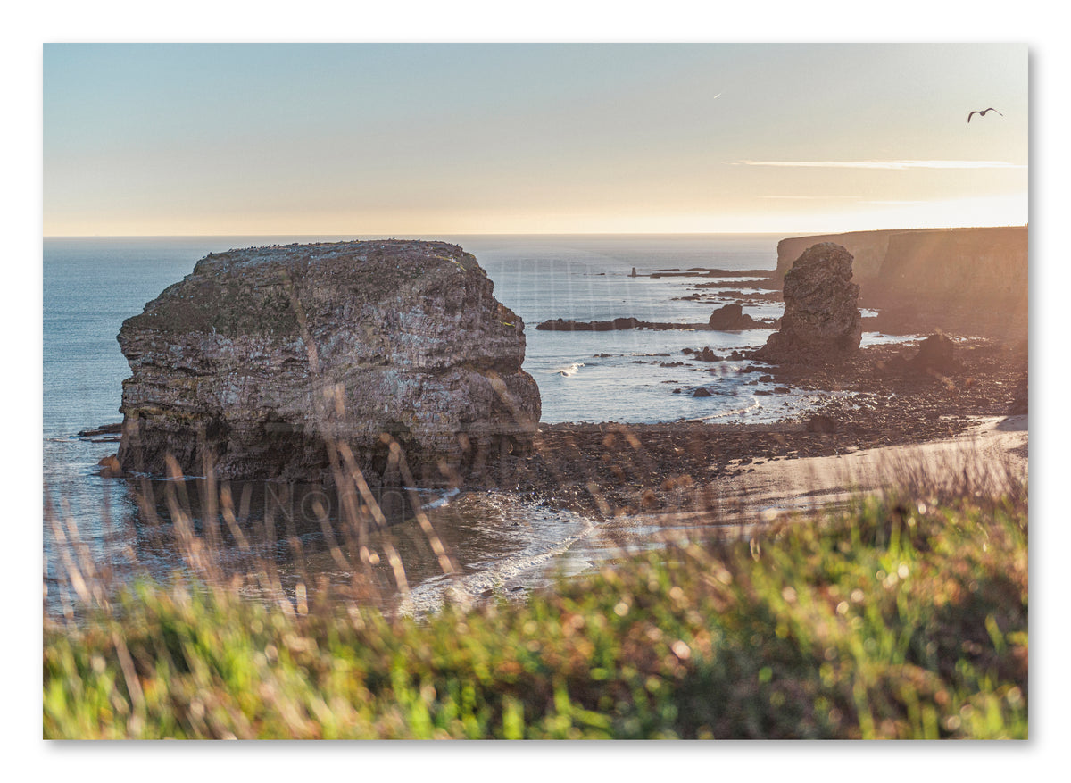 Marsden Rock and Bay - Sunrise - Marsden - South Tyneside shown as a canvas print.