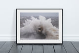 Seaham Lighthouse and Pier Waves, Storm Babet, Seaham - County Durham