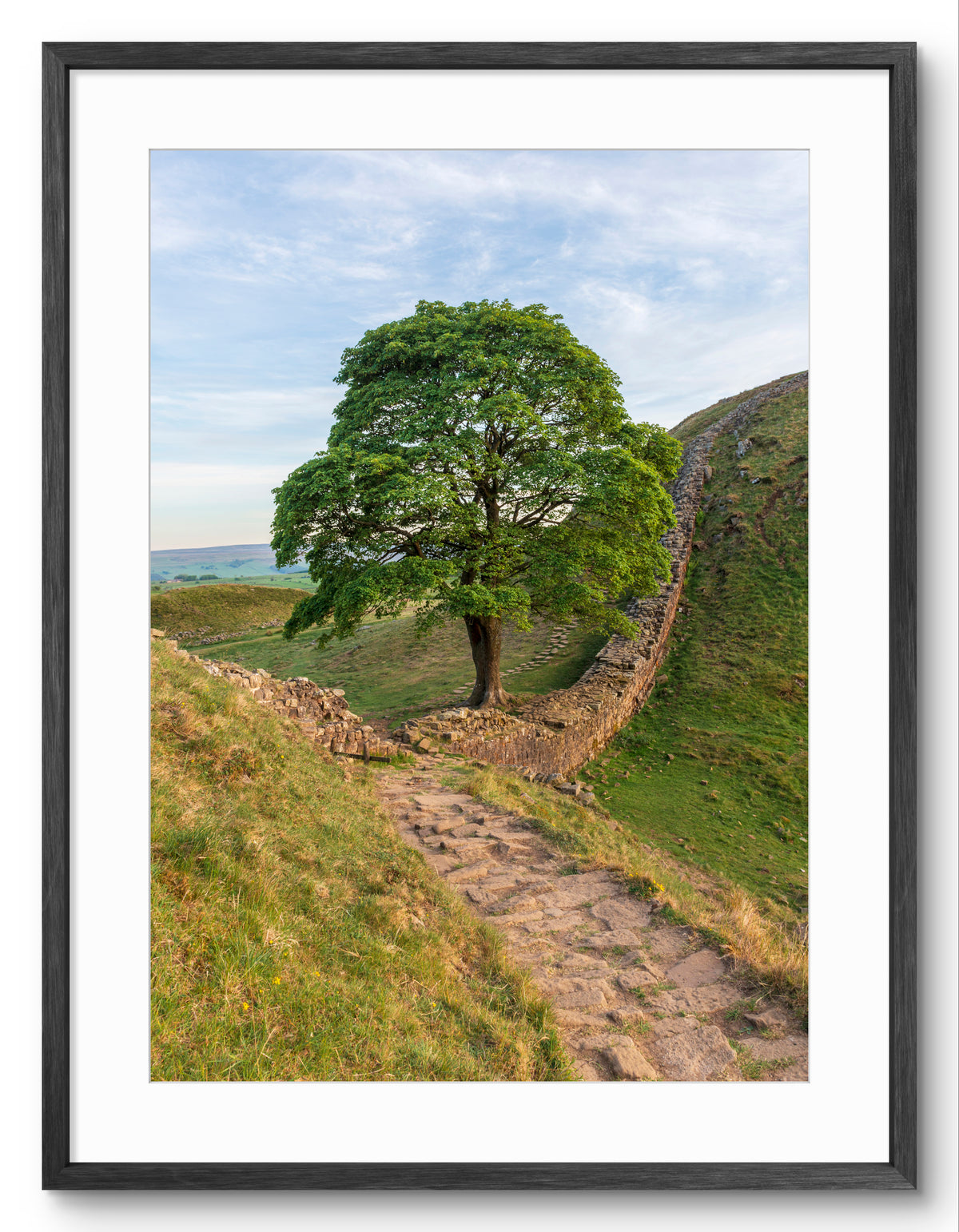 Sycamore Gap Tree - Hadrian's Wall - Stone Footpath - Northumberland shown as a framed photographic print.