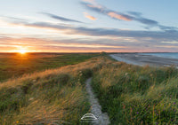 Druridge Bay - Northumberland - Grassy Dunes Sunset Print