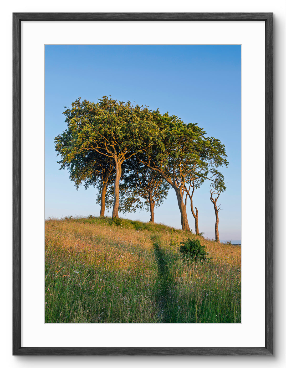 Seven Sisters Print | Copt Hill Sunderland Landscape Photography shown as a framed photographic print.