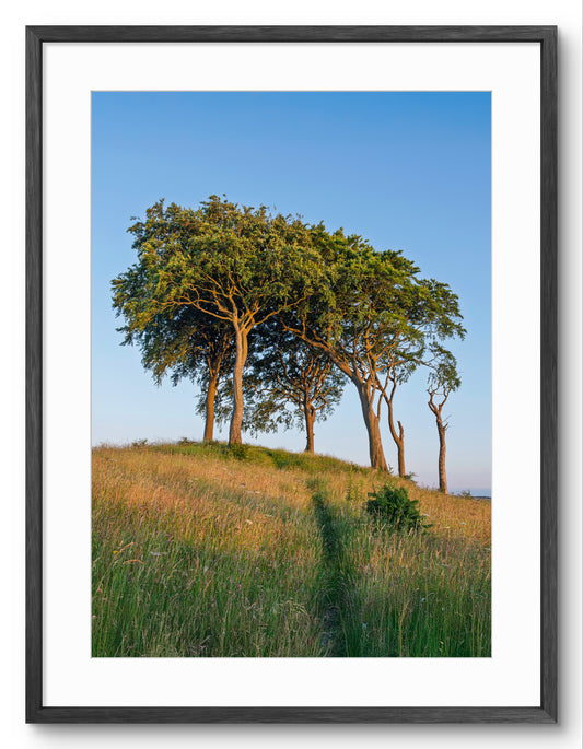 Seven Sisters Print | Copt Hill Sunderland Landscape Photography shown as a framed photographic print.
