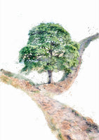 Sycamore Gap Tree & Hadrian's Wall Digital Watercolour, Northumberland