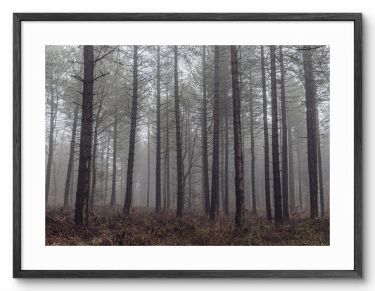 Misty Kielder Forest - Northumberland shown as a framed photographic print.