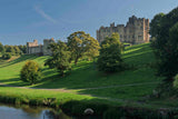 Castle on a hill with green trees and a clear blue sky