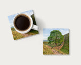 North East Coasters – Choose Your Favourite Landmark