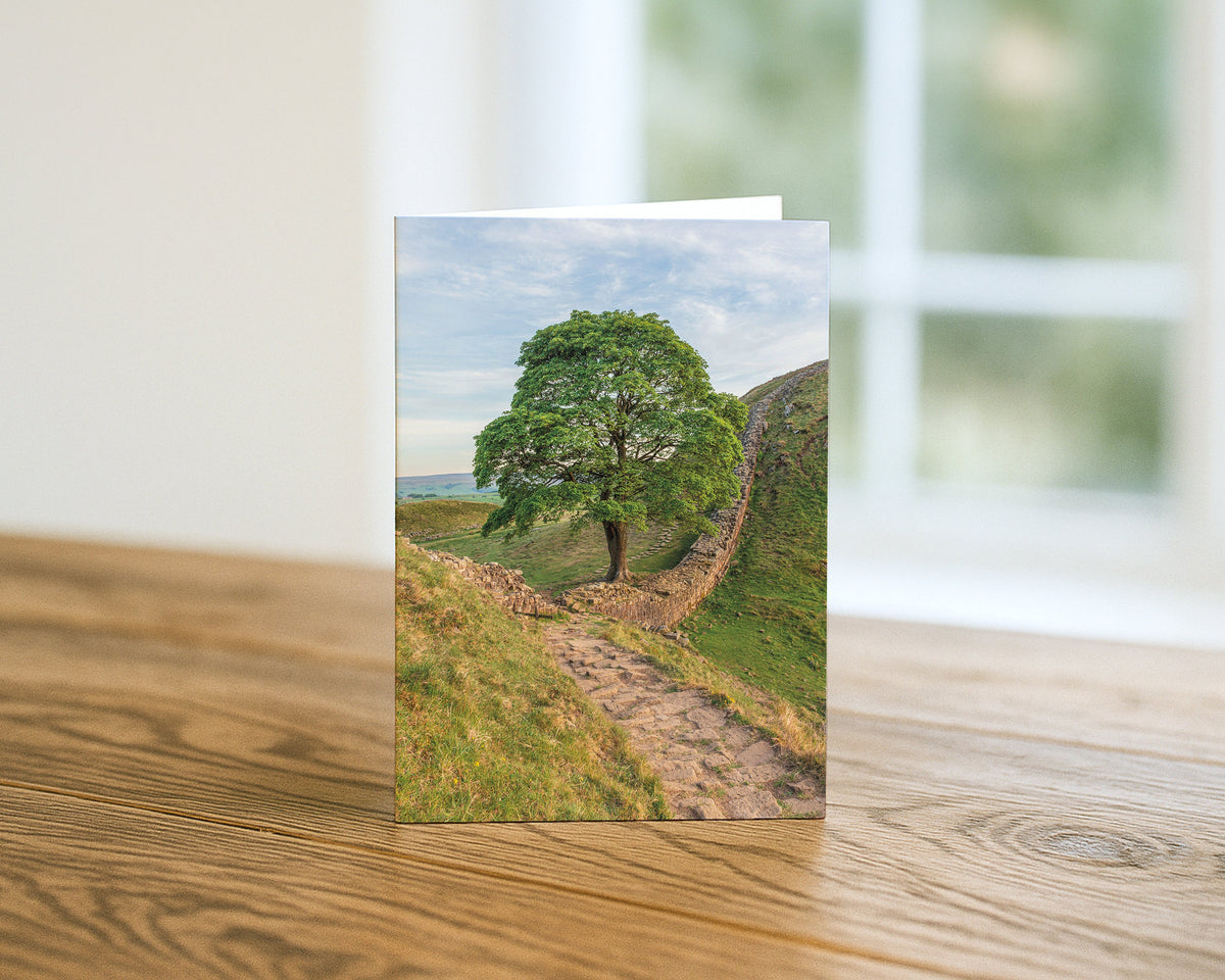Sycamore Gap Tree and Hadrian's Wall blank A5 greetings card, Northumberland, by North East Captures