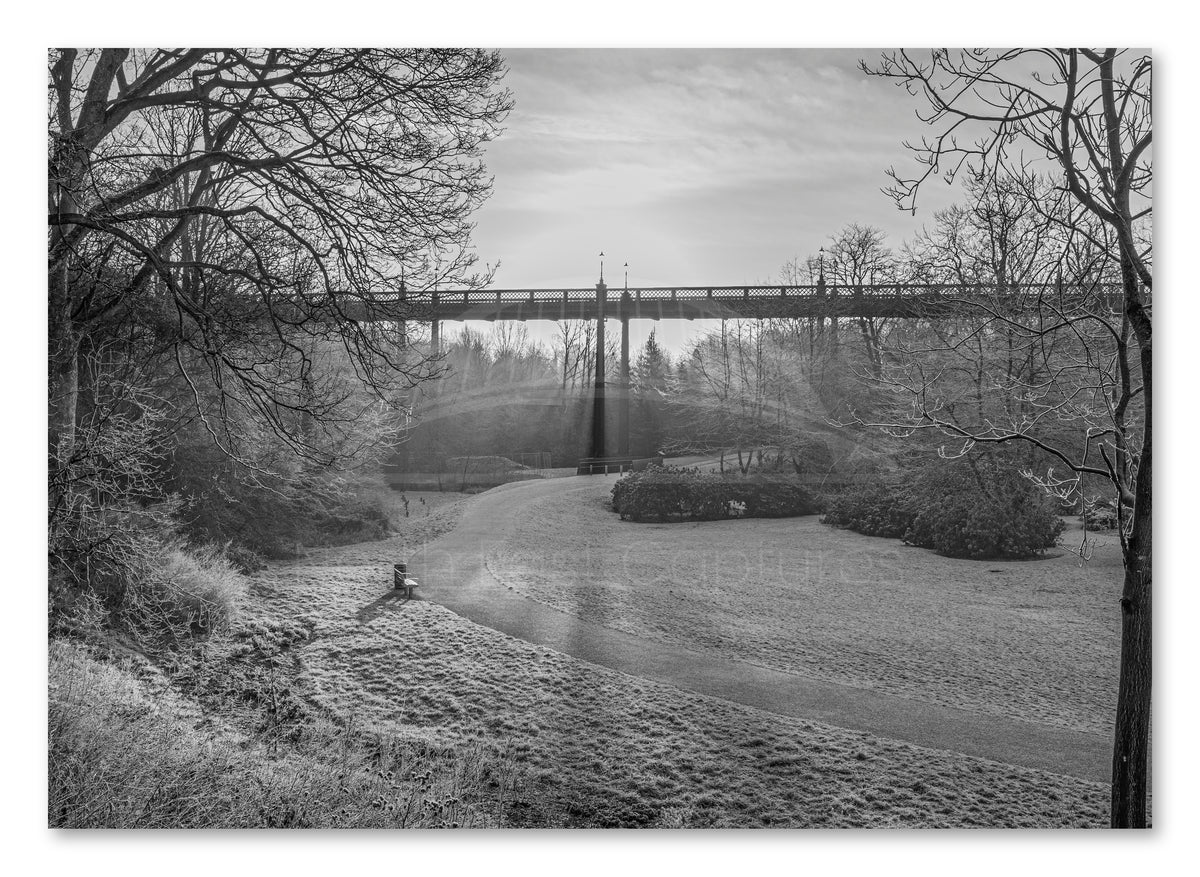 Armstrong Bridge Black & White — photograph preview