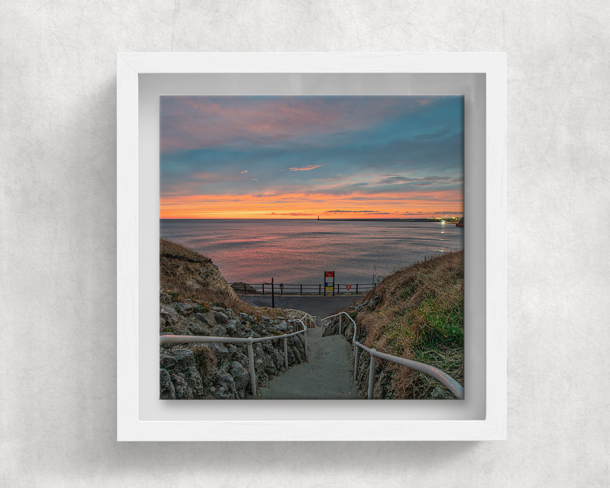 Cat and Dog Steps Sunrise on an 8×8 inch ceramic tile in a white box frame, front view