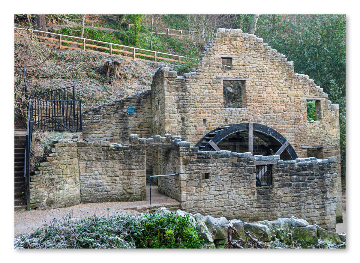 Jesmond Dene Old Mill & Waterwheel — photograph preview
