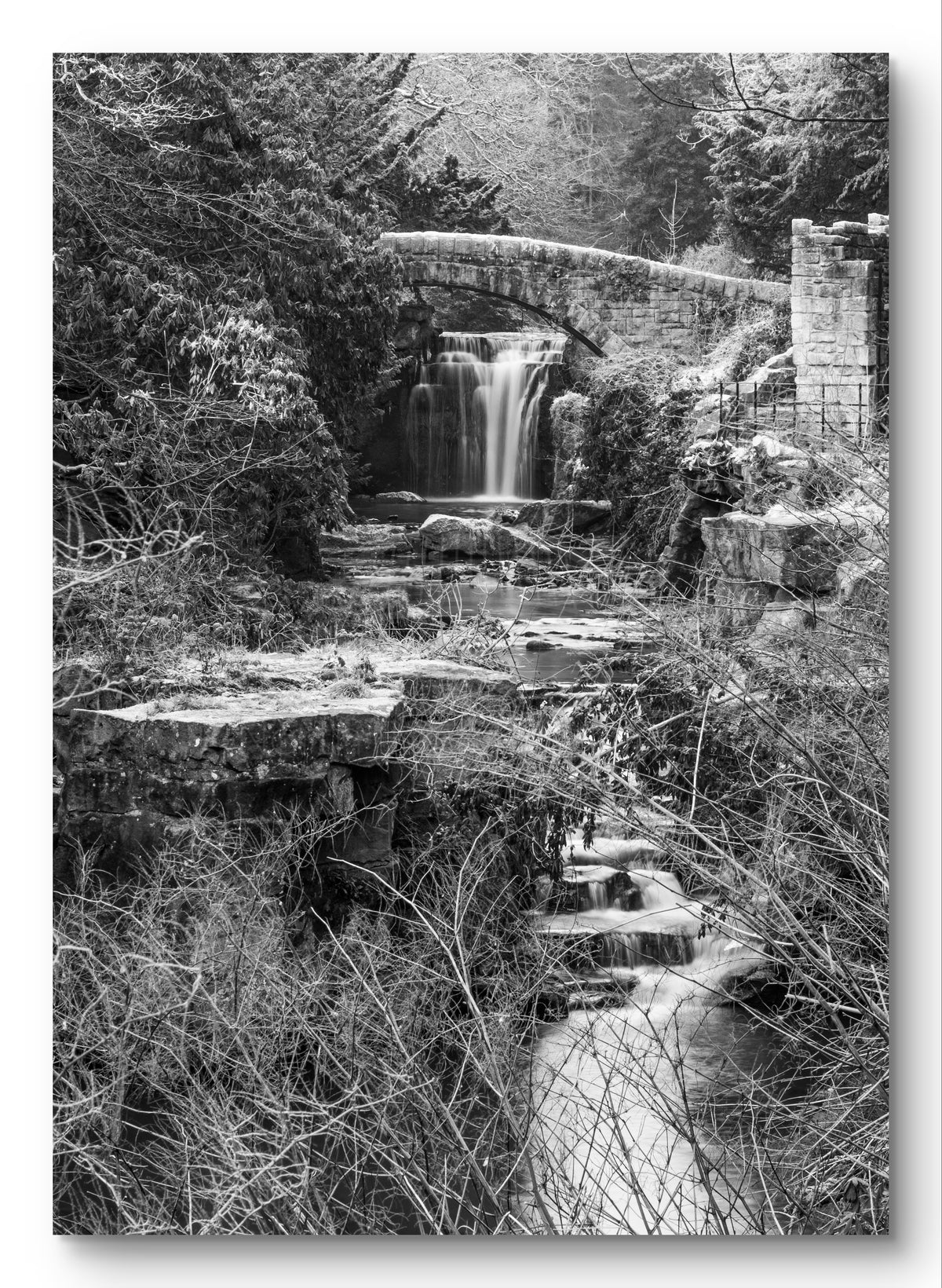 Jesmond Dene Waterfall Black & White Portrait — photograph preview