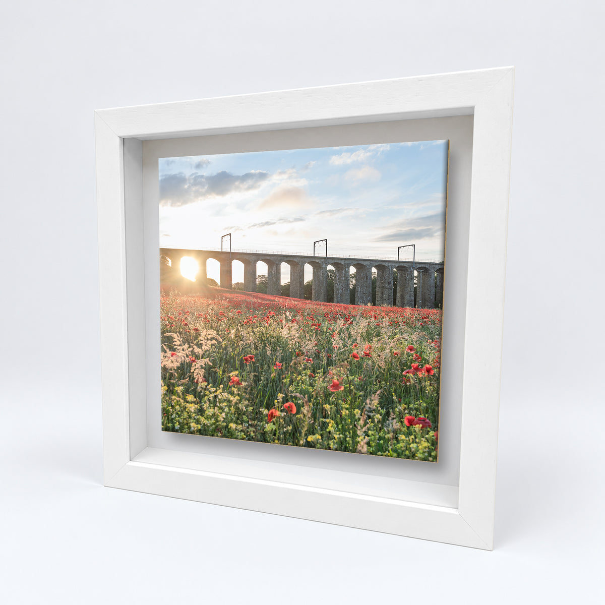 Lesbury Viaduct and Poppies on an 8×8 inch ceramic tile in a white box frame, angled view