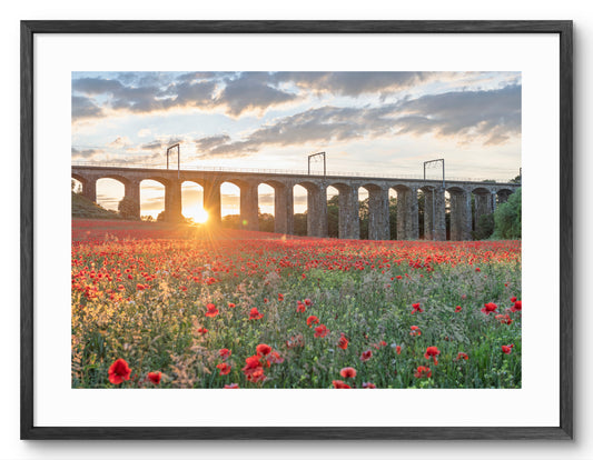 Lesbury Viaduct & Poppy Sunburst — black frame with white mount