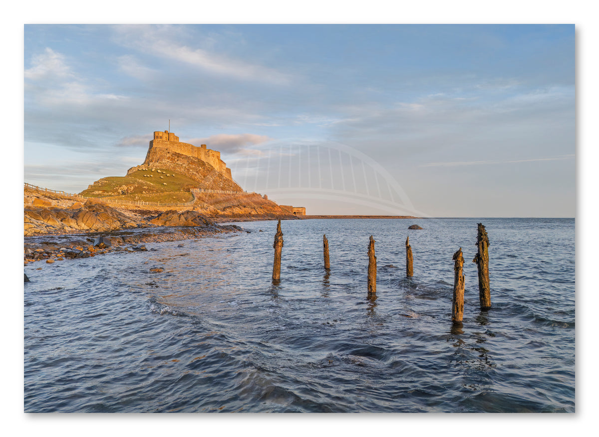 Lindisfarne Castle Coastal — photograph preview