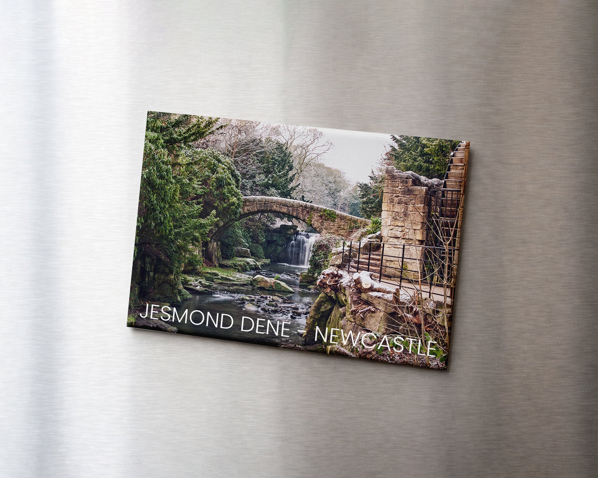 Jesmond Dene Winter Magnet 9 x 6.5 cm rectangular photography magnet